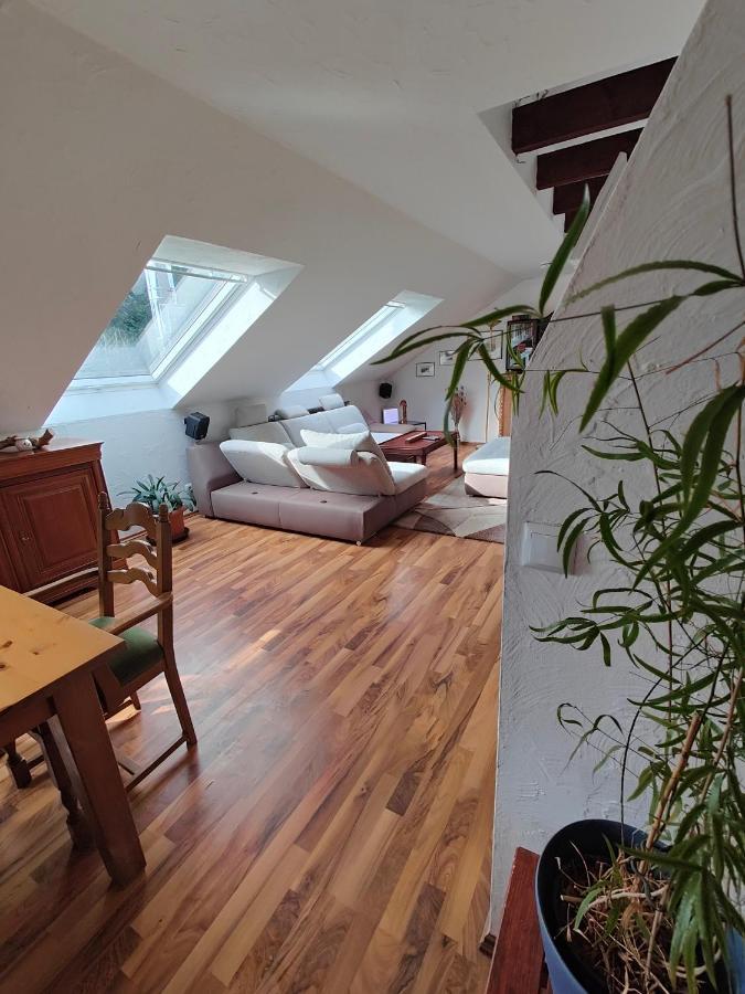Komfort Ferienwohnung Biene Saarbrücken Kültér fotó